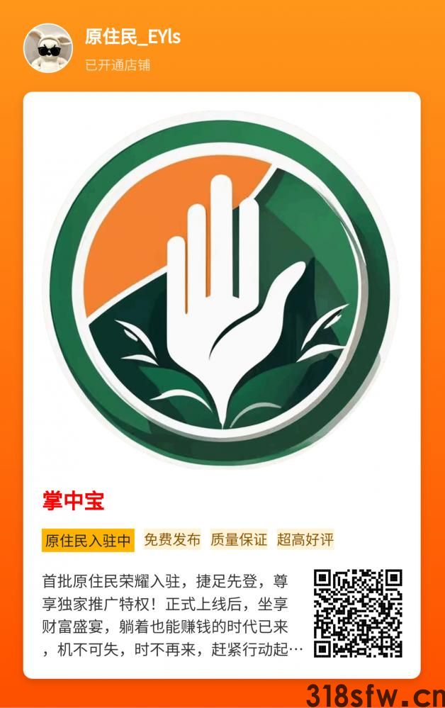 网络项目