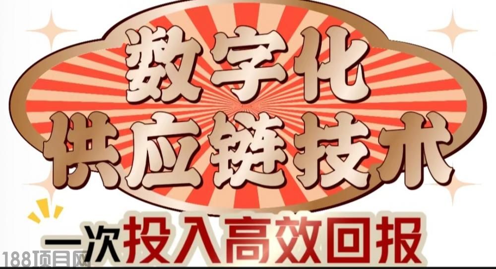 网络项目
