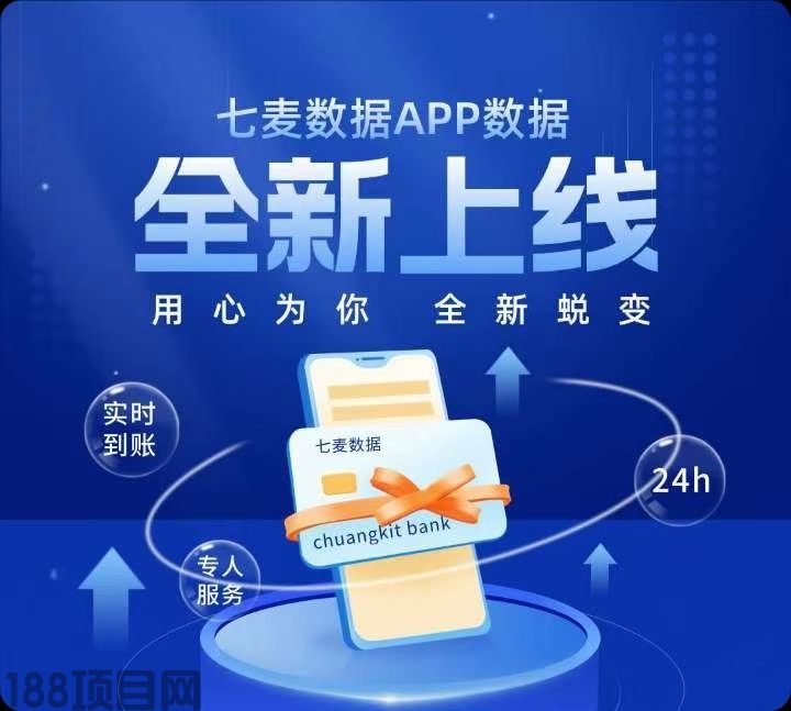 网络项目