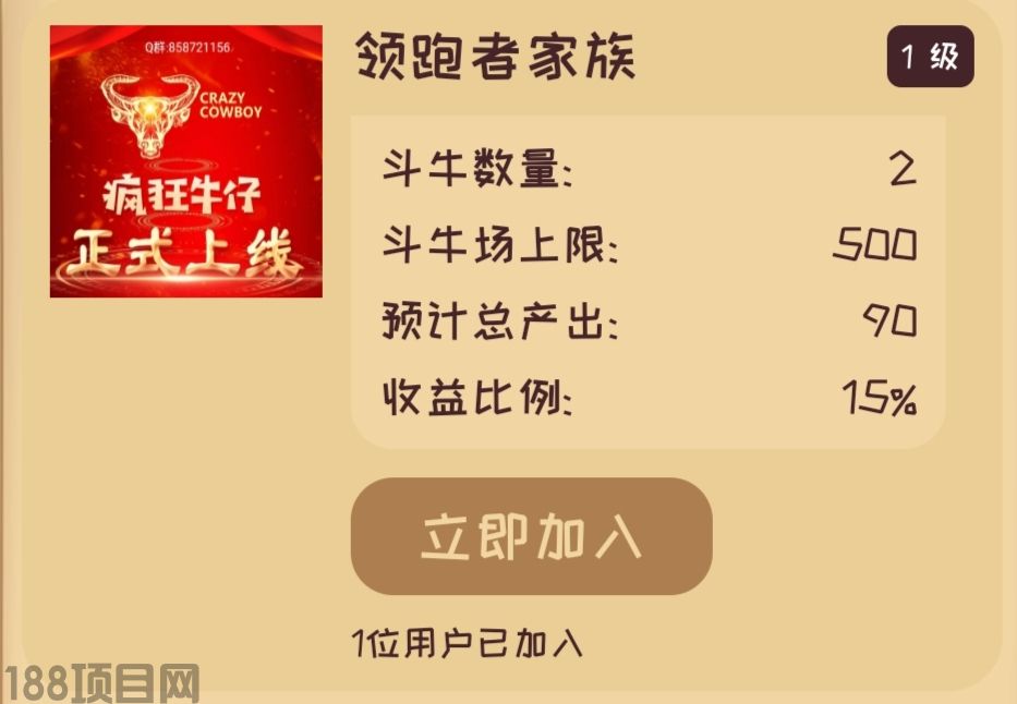 网络项目
